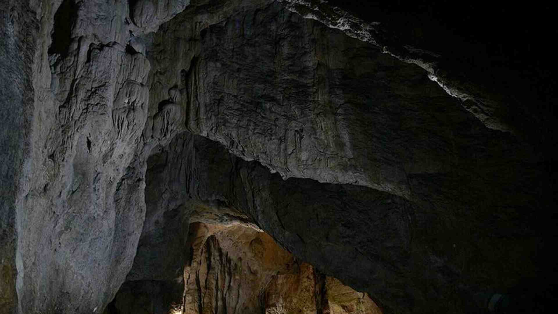 La parola migrante evoca paura, ma la nostra esistenza è il risultato di un’antica catena di spostamenti