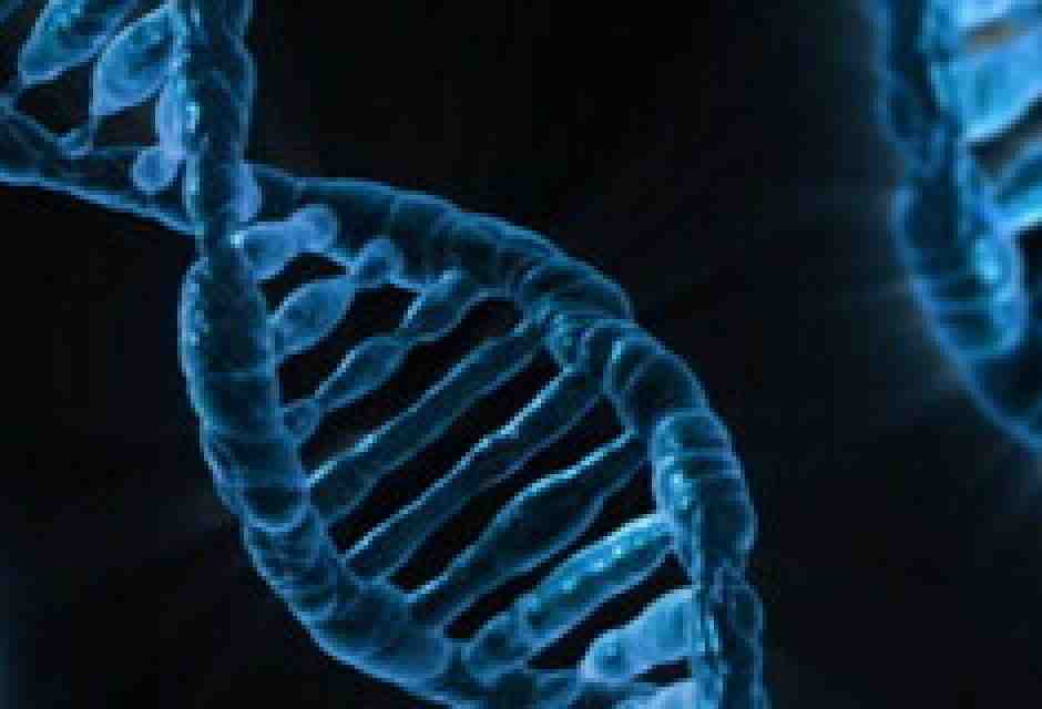 L’IA che scioglie la plastica. Ecco l'enzima che “digerisce” il poliuretano