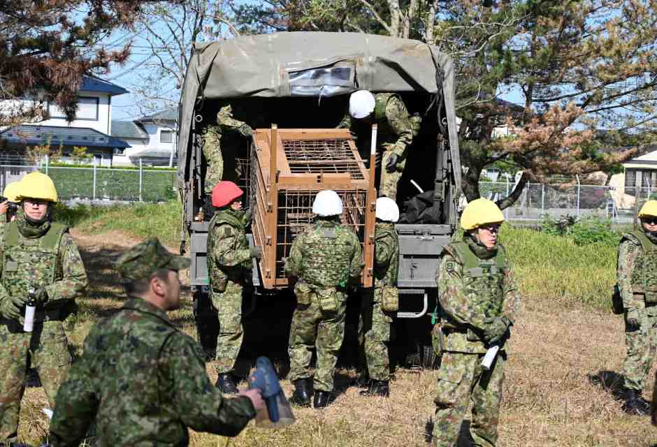 Lo "Strade sicure" in versione giapponese