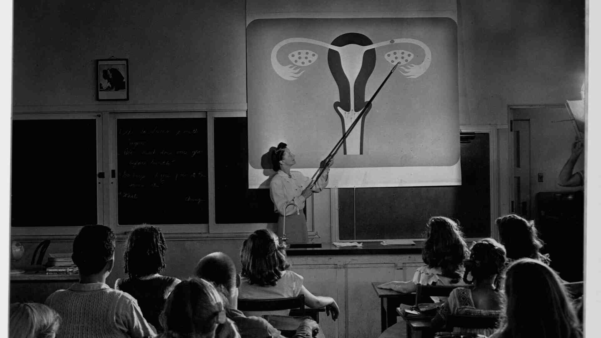 Per un’educazione sentimentale meglio Flaubert che una lezioncina scolastica