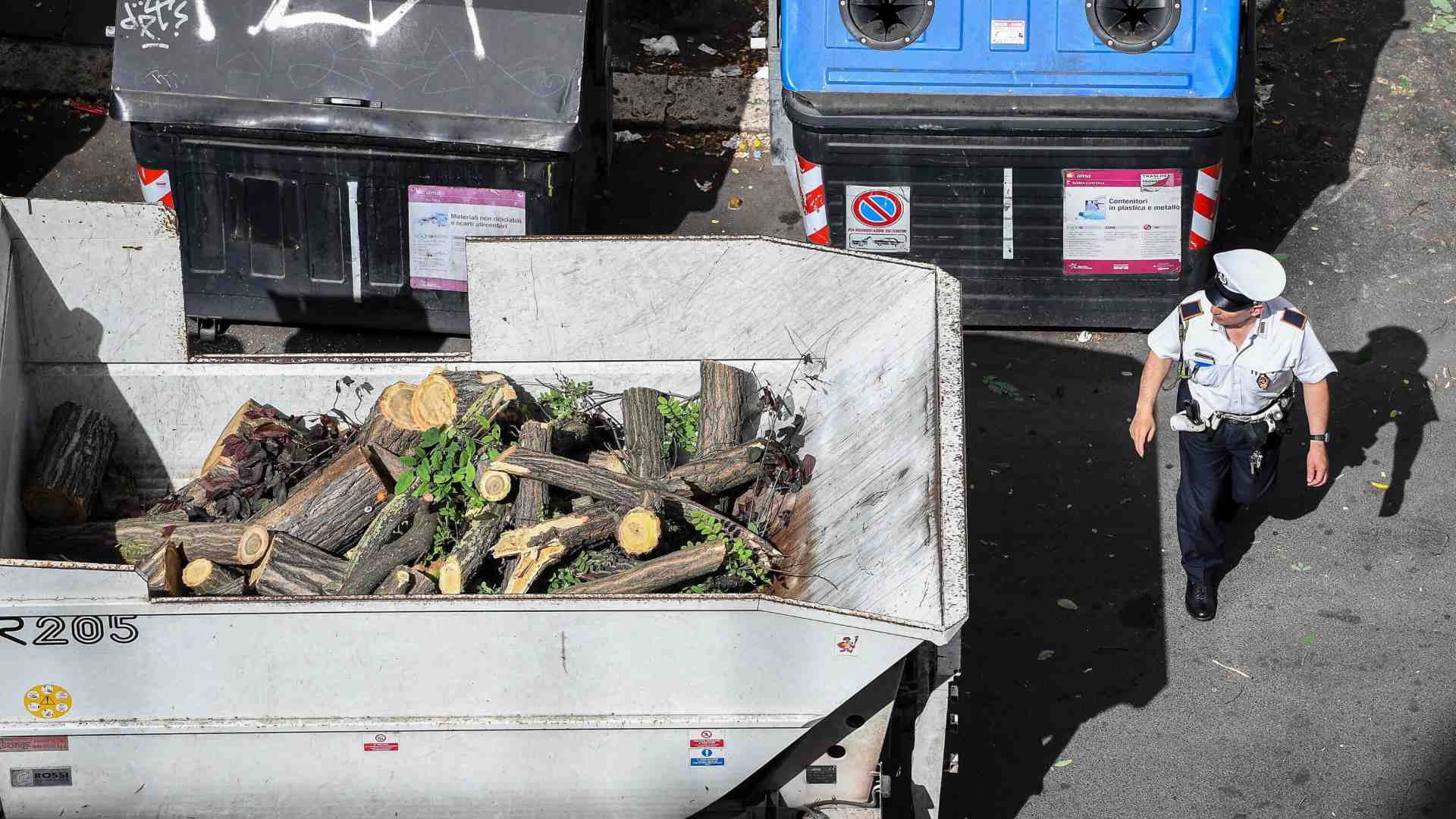 La disfida sugli abbattimenti degli alberi