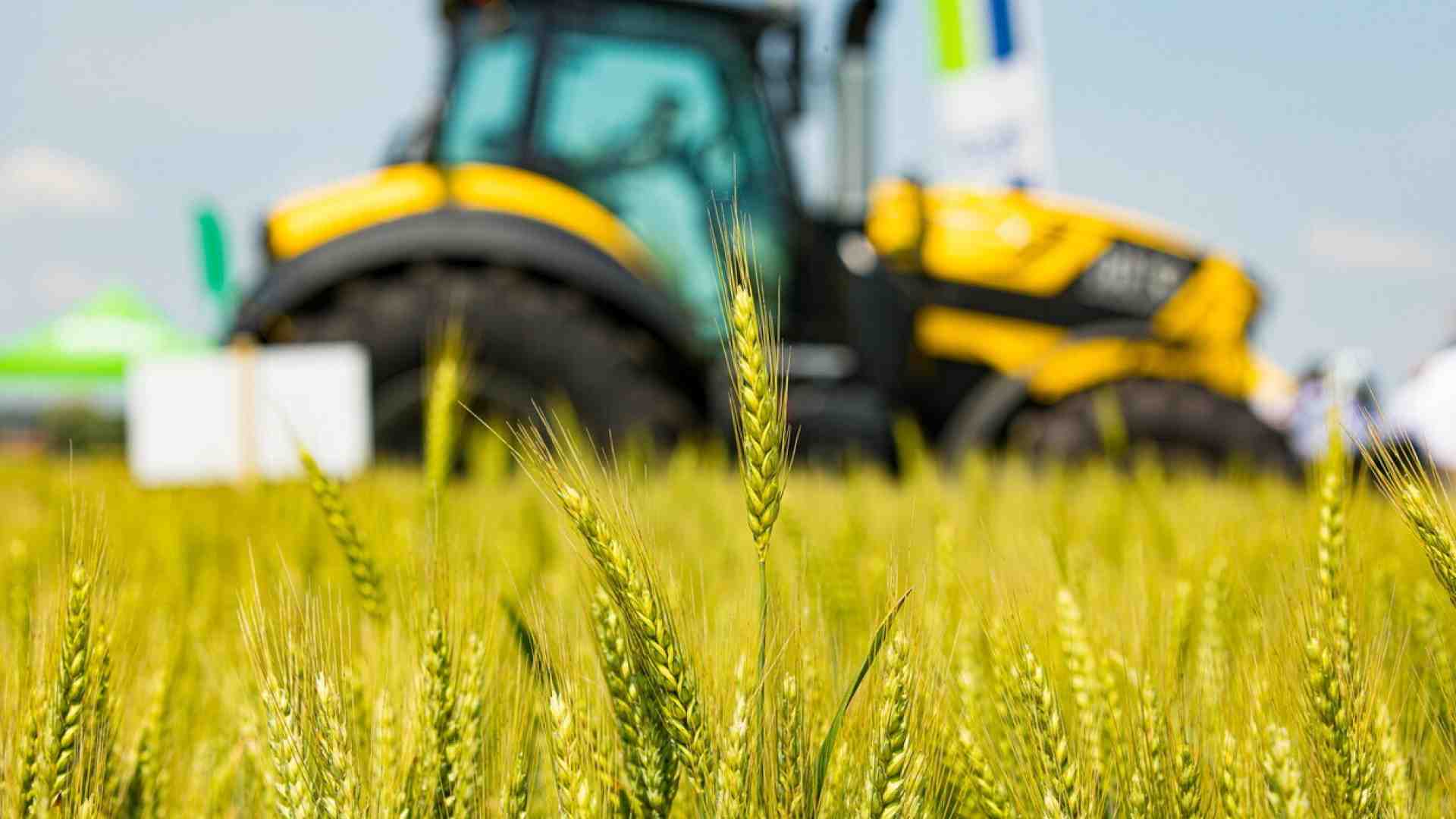 Gli occupati agricoli under 35 aumentano del 18 per cento. Buona notizia? Solo in parte