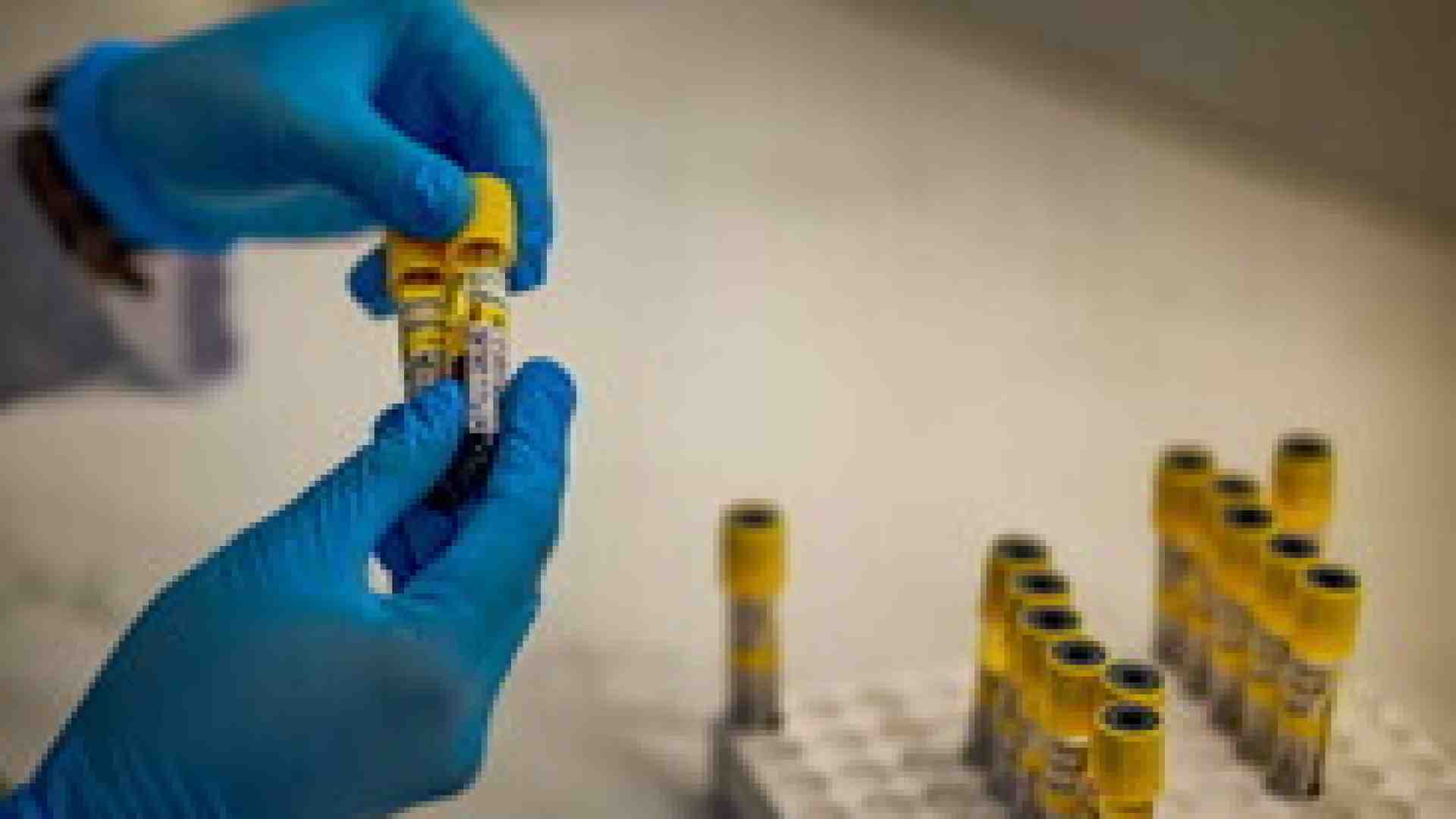 Quando la quantità diventa la qualità della ricerca