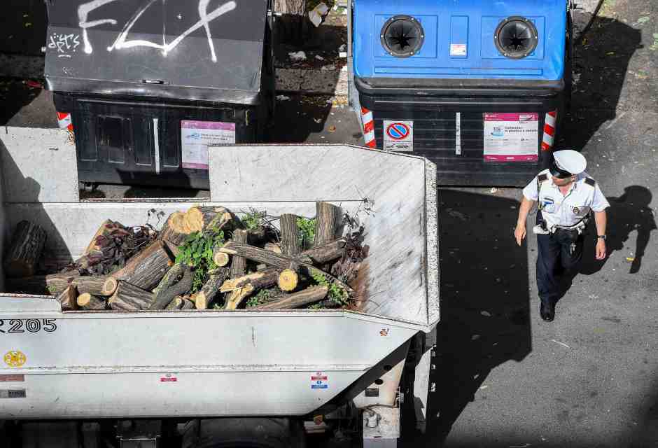La disfida sugli abbattimenti degli alberi