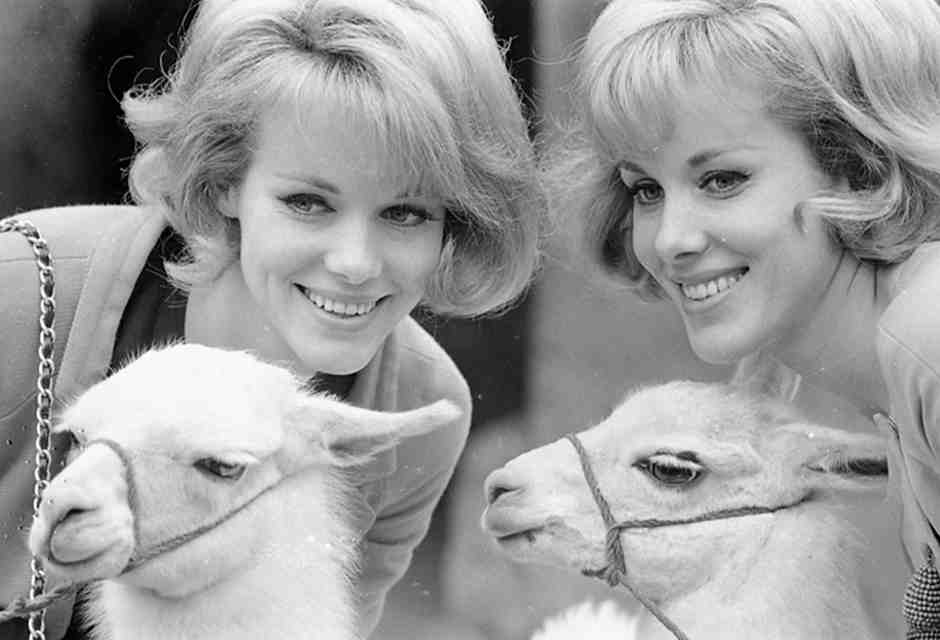 La perfezione discreta di Alice ed Ellen Kessler