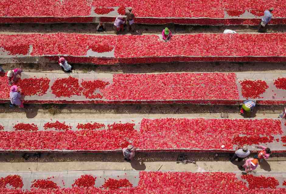 L'Italia manda il primo segnale di derisking con la Cina sui pomodori