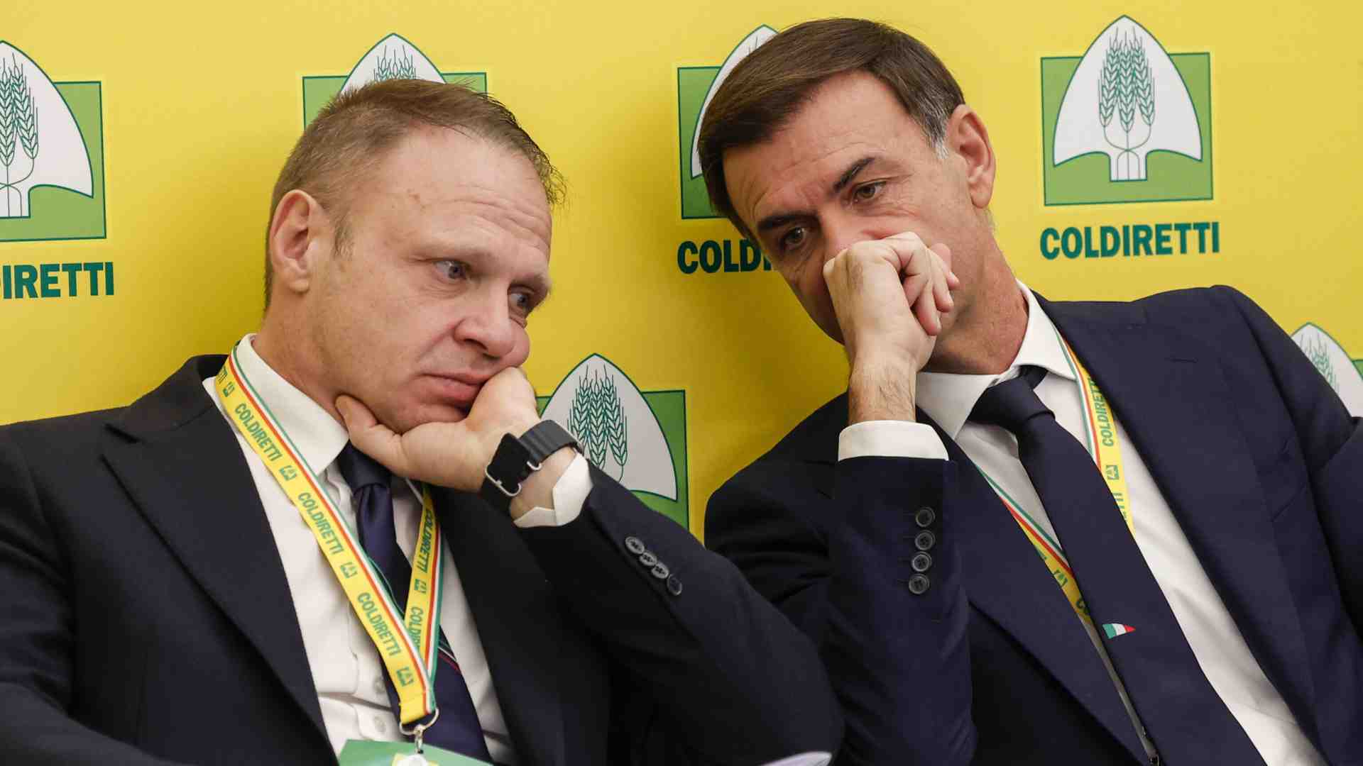 Il riso è la nuova grana di Lollobrigida: "L'accordo Ue è uno scandalo. Ci danneggerà"