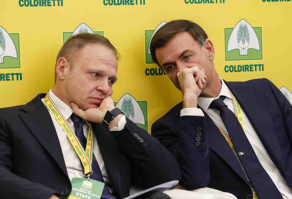 Il riso è la nuova grana di Lollobrigida: "L'accordo Ue è uno scandalo. Ci danneggerà"