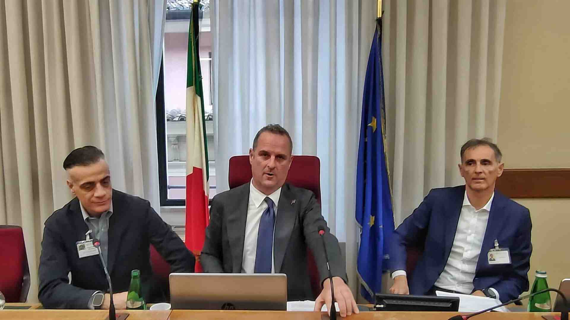 Cicalone in Parlamento (in audizione)