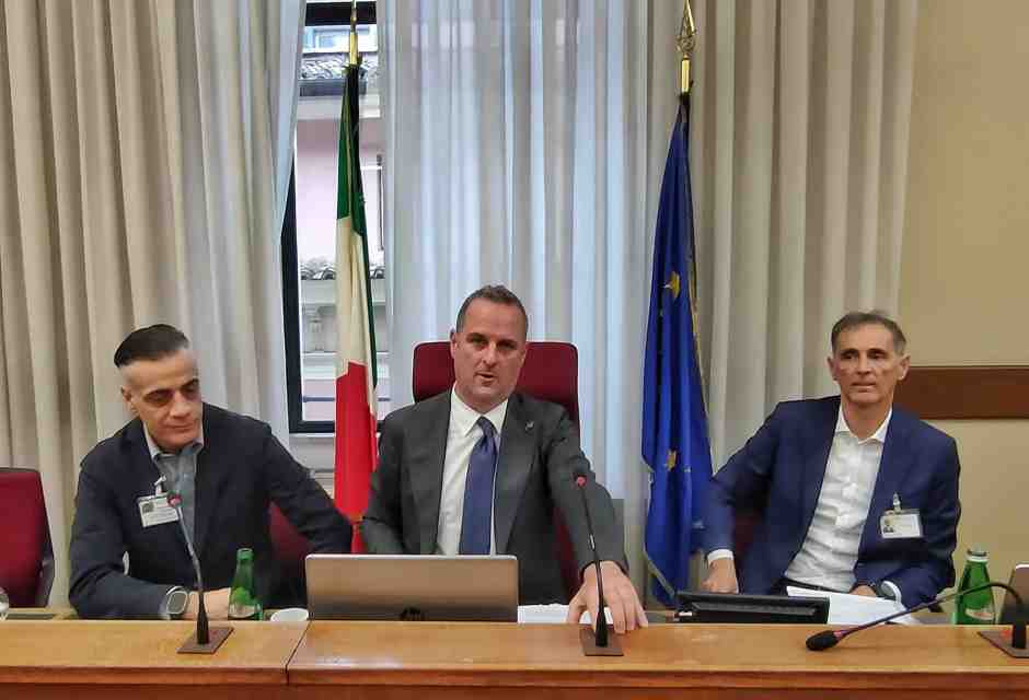 Cicalone in Parlamento (in audizione)