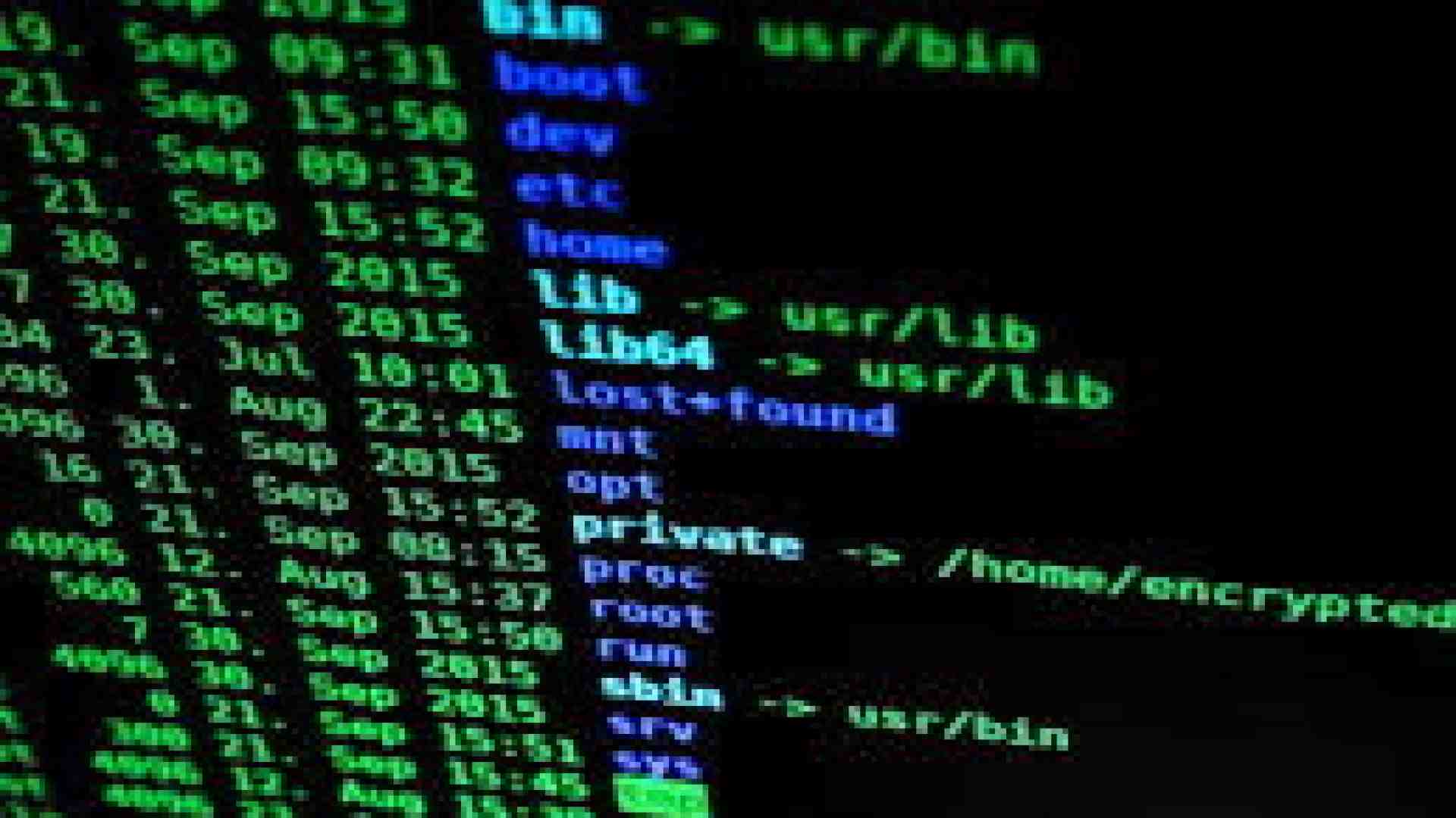 La poesia mette in crisi i sistemi di sicurezza dei modelli linguistici