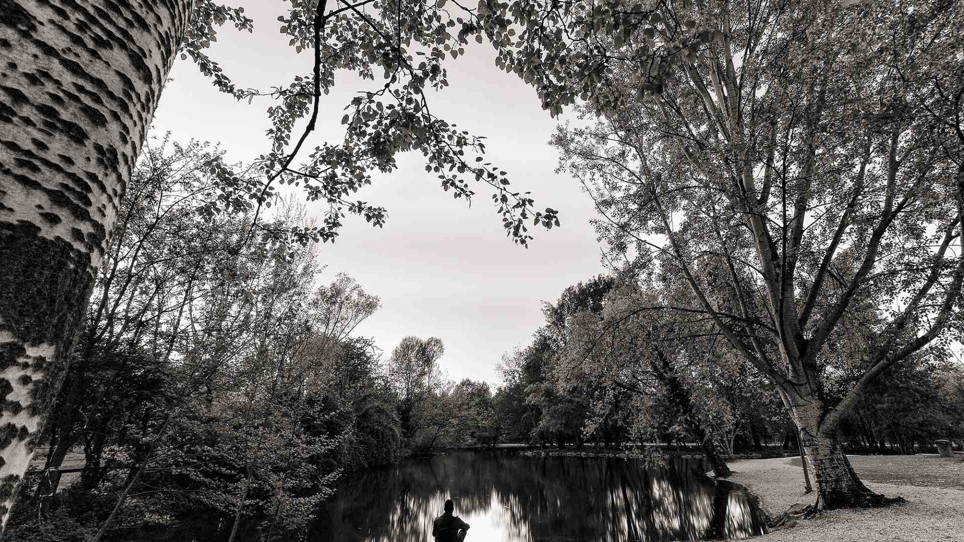 Il lato comico, sadico e pungente di tre vite che galleggiano sui rimpianti