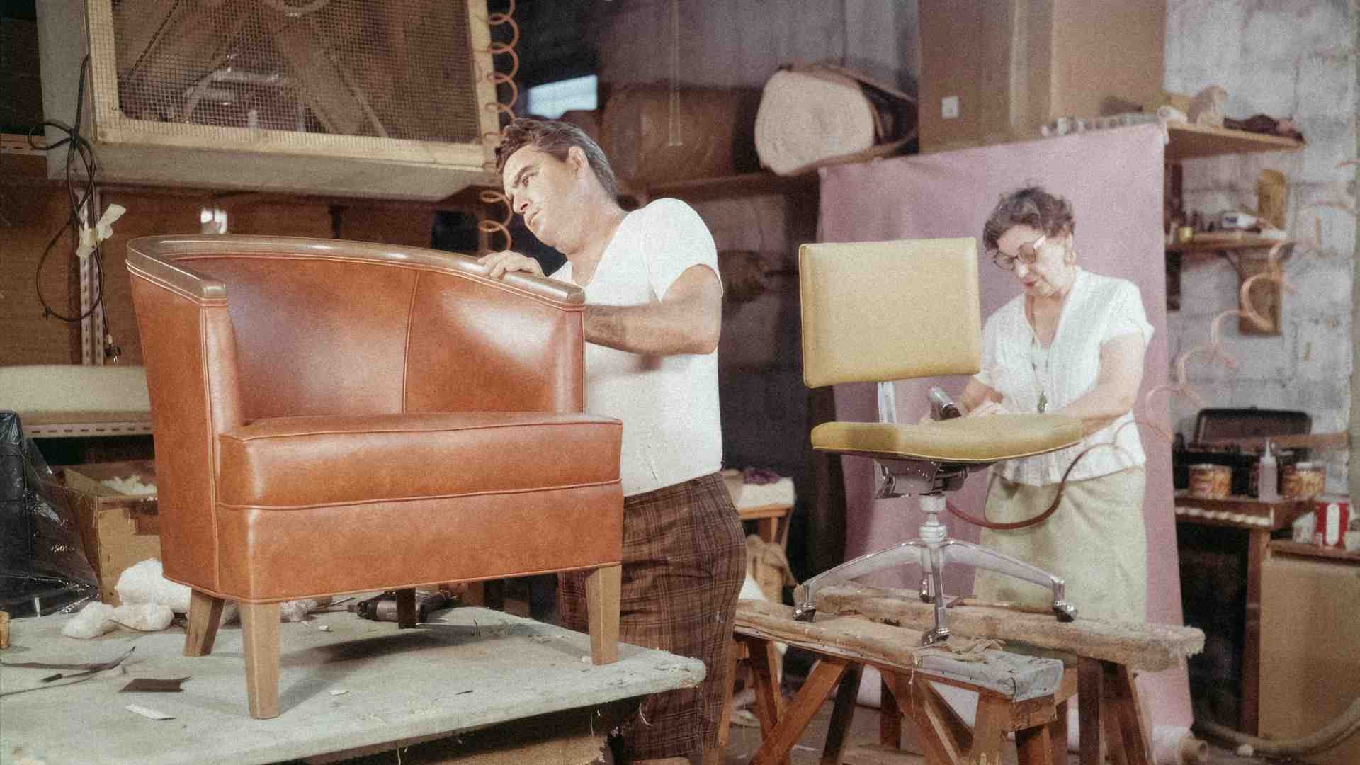 Mi sono diplomato Perito Conciario