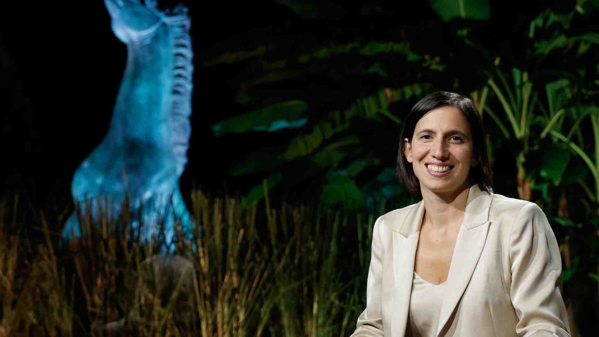 Ecco la proposta che unisce davvero tutto il Pd: vietato mangiare la carne di cavallo