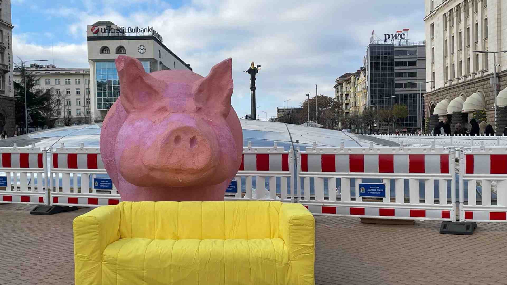 Sofia contro i maiali