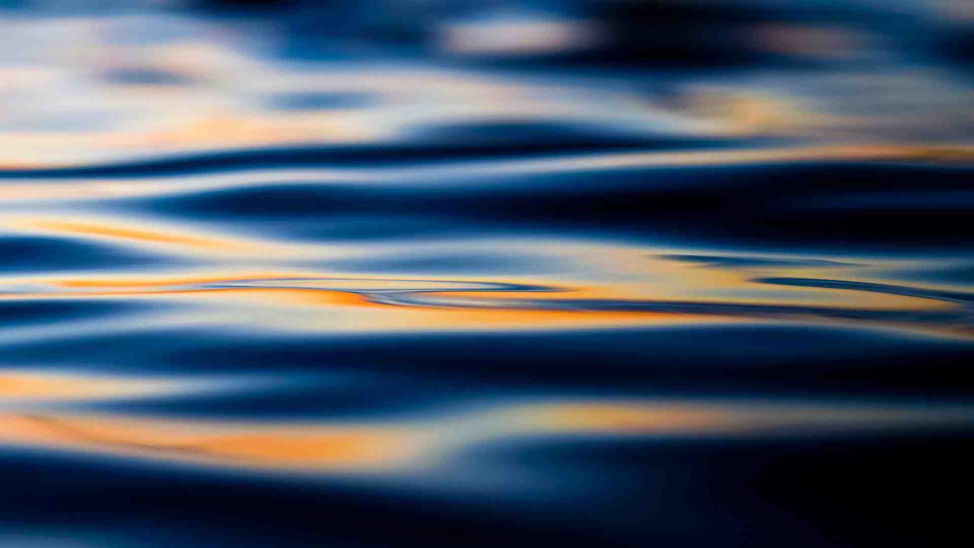 Foto di Jason Leung su Unsplash