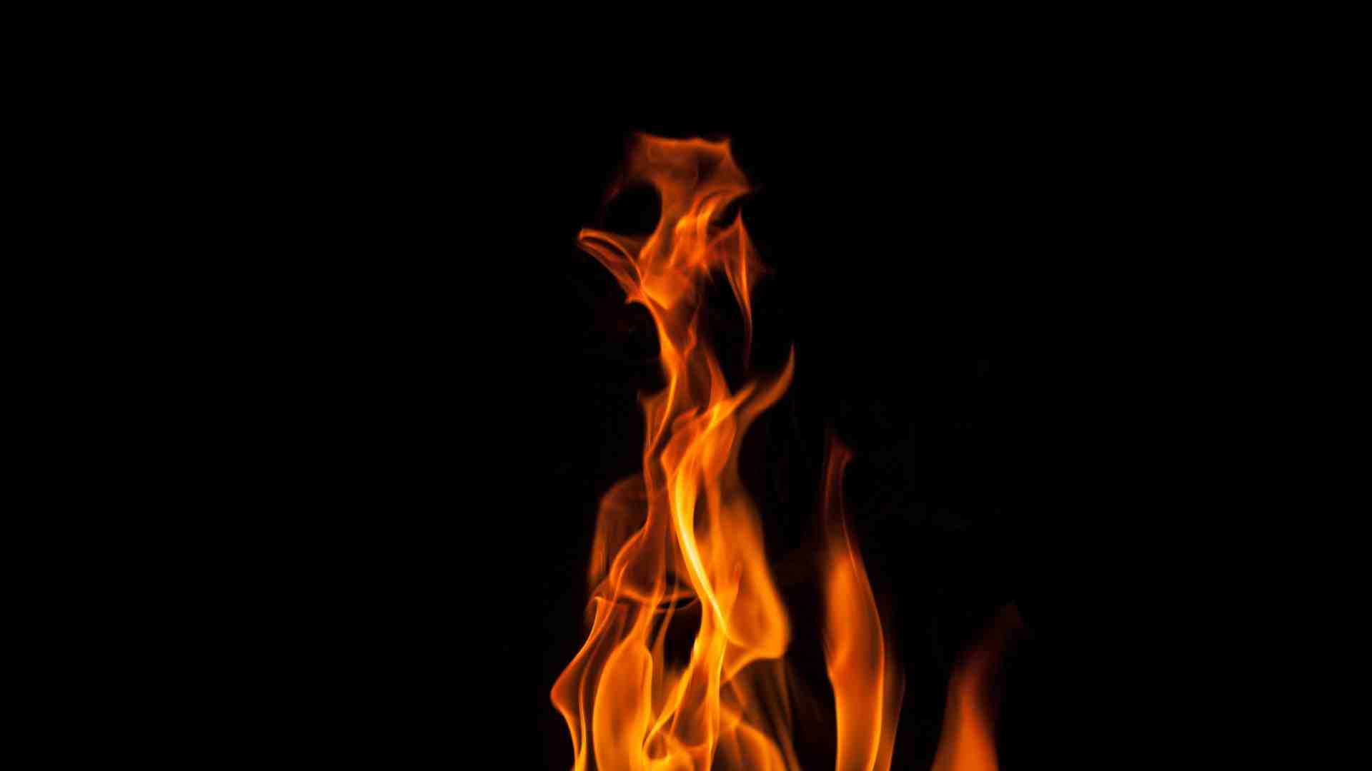 Gli omicidi del gruppo Ludwig, che sono un pezzo della storia d’Italia