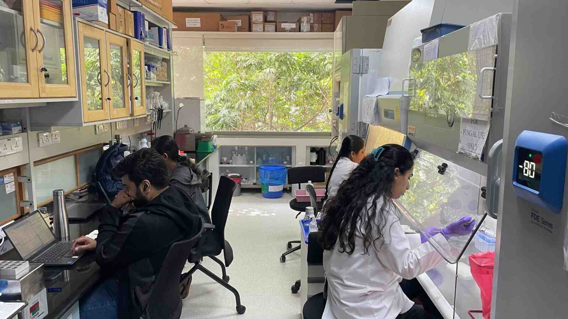 Ecco a voi la Silicon India