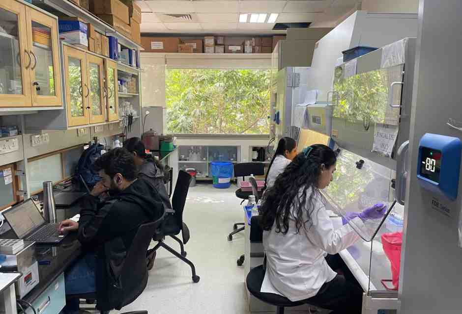 Ecco a voi la Silicon India