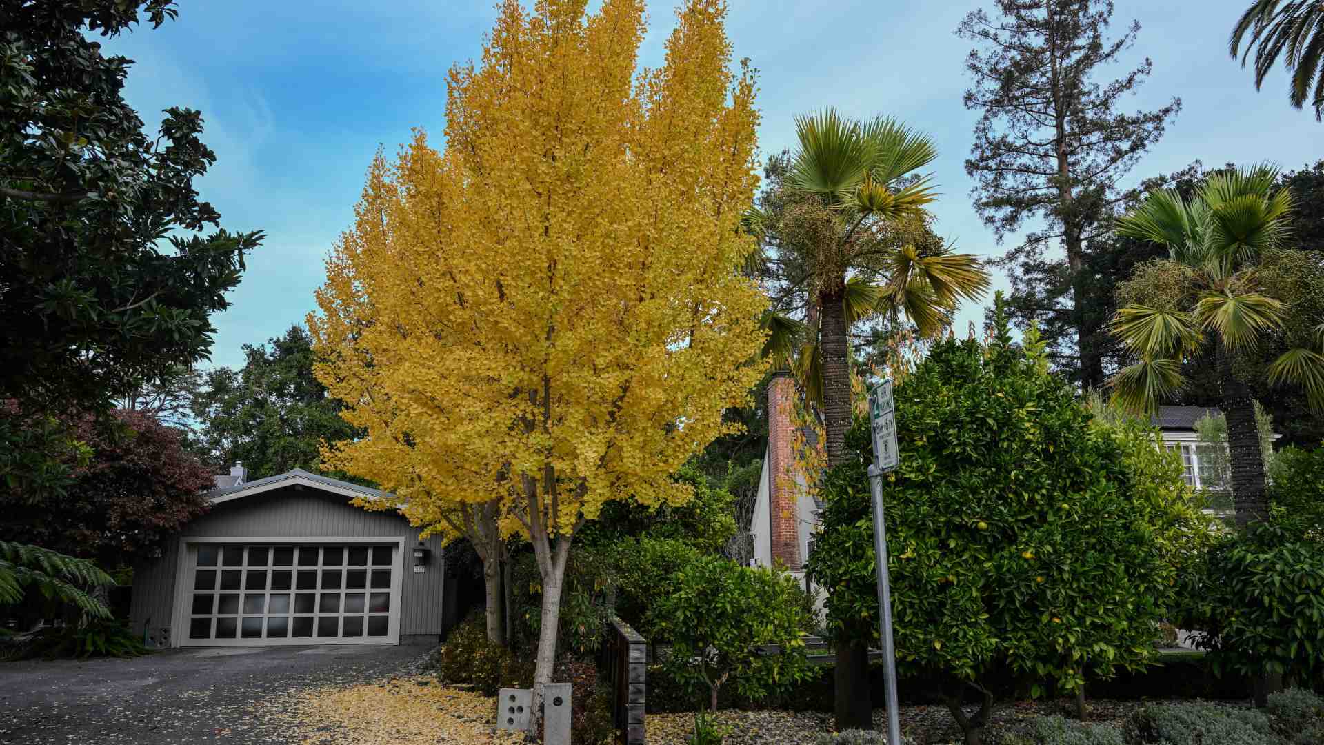 In Silicon Valley i miliardari non vogliono più vicini di casa