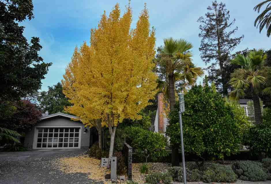 In Silicon Valley i miliardari non vogliono più vicini di casa