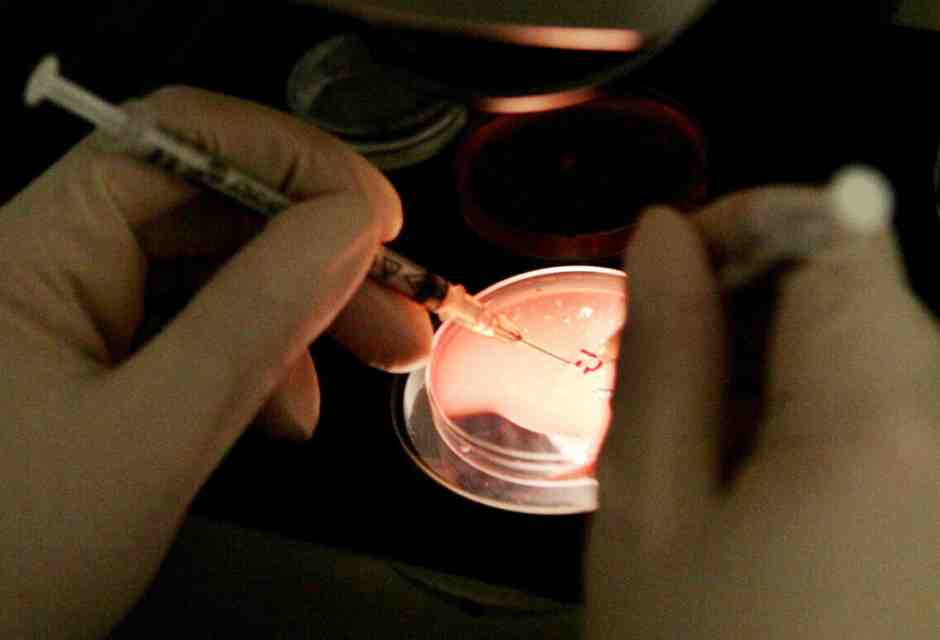 Se il welfare aziendale predica la crio-conservazione degli ovociti