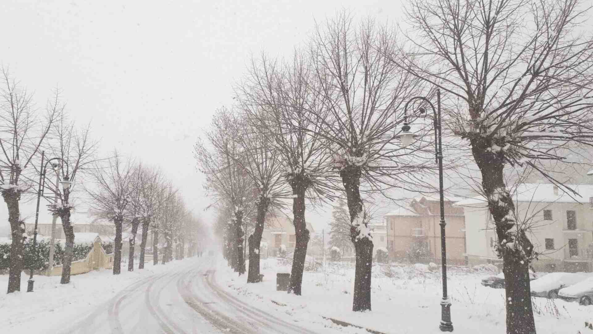 Il piccolo capro espiatorio della linea 30