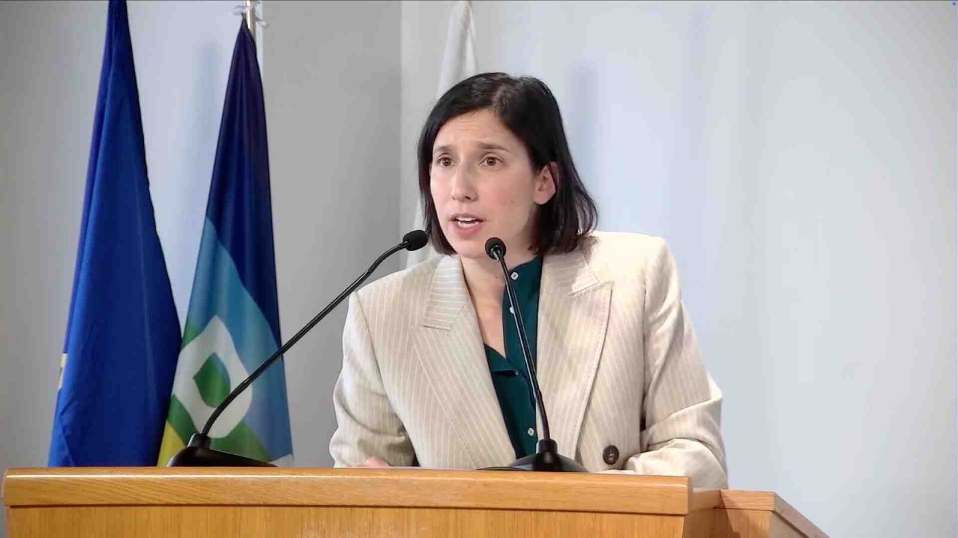 Schlein alla Direzione nazionale Pd alla prova dei riformisti: "Rispetto per le minoranze, la linea è una"