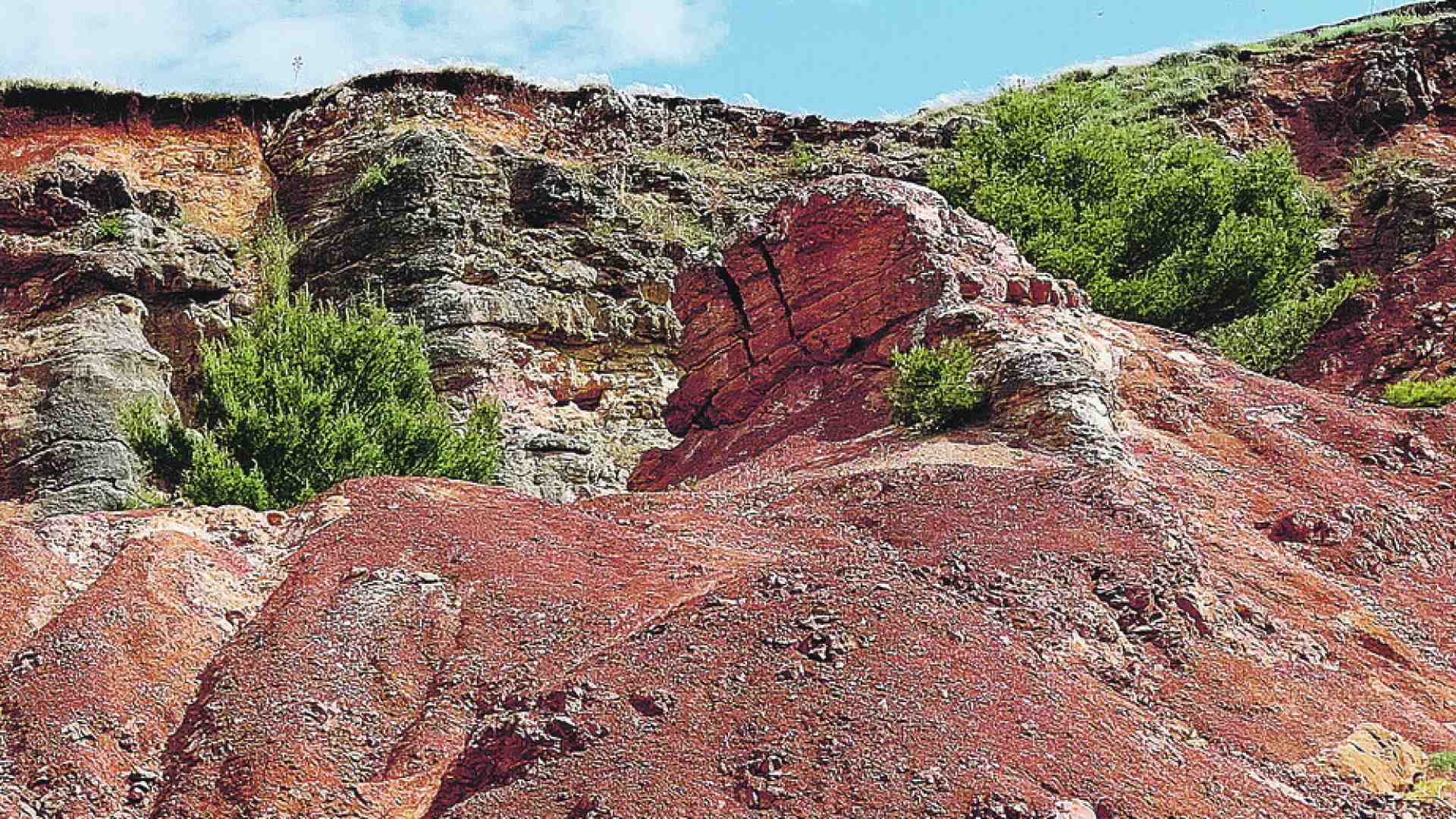 Uomini e lupi. La pietà perduta nel nuovo libro di Giuseppe Galliani
