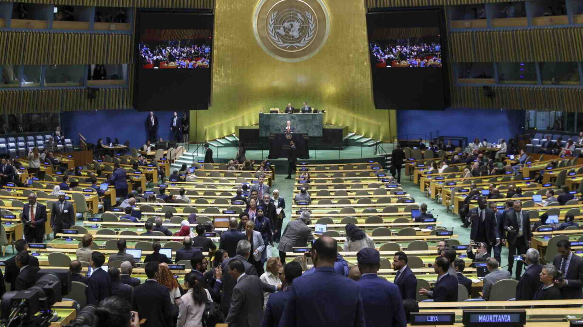 Dalle ong alle relatrici dell’Onu, i paladini dei diritti umani divorano se stessi