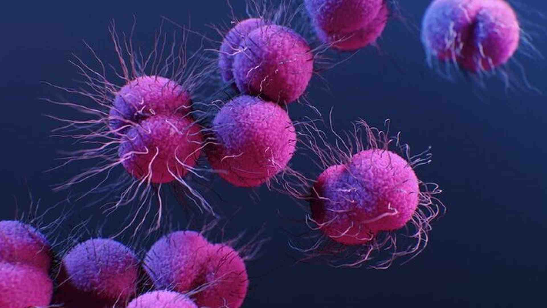 L'idea di una vaccinazione contro il carcinoma mammario triplo negativo. Lo studio