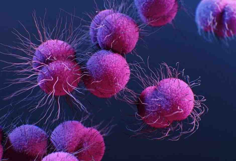 L'idea di una vaccinazione contro il carcinoma mammario triplo negativo. Lo studio