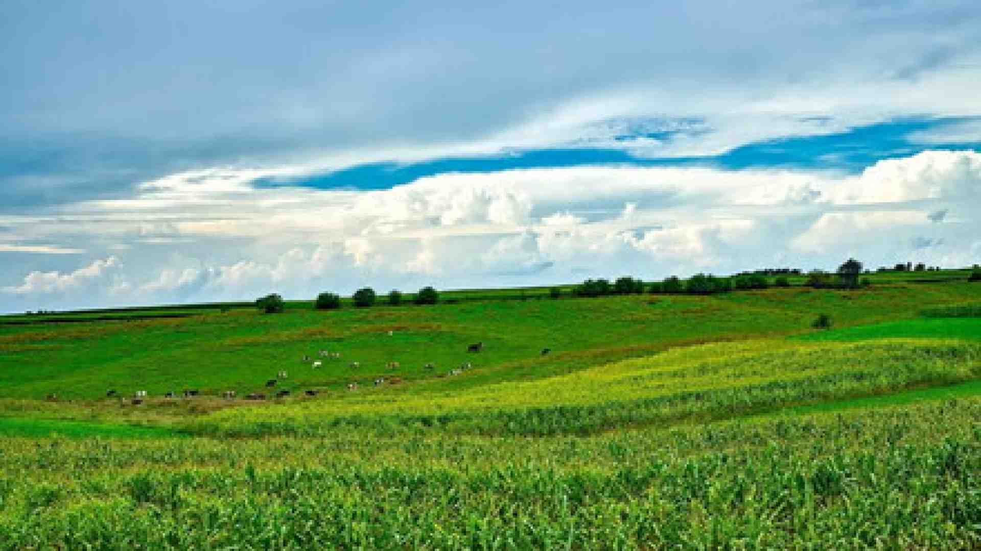 Storia di una diserzione e di una fattoria sperduta. Un soldato col rossetto