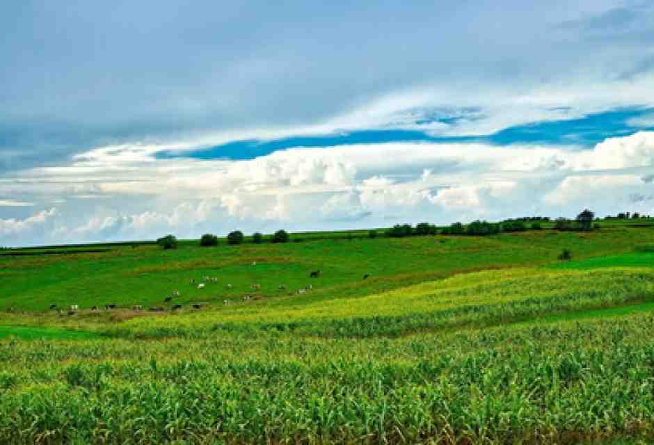 Storia di una diserzione e di una fattoria sperduta. Un soldato col rossetto