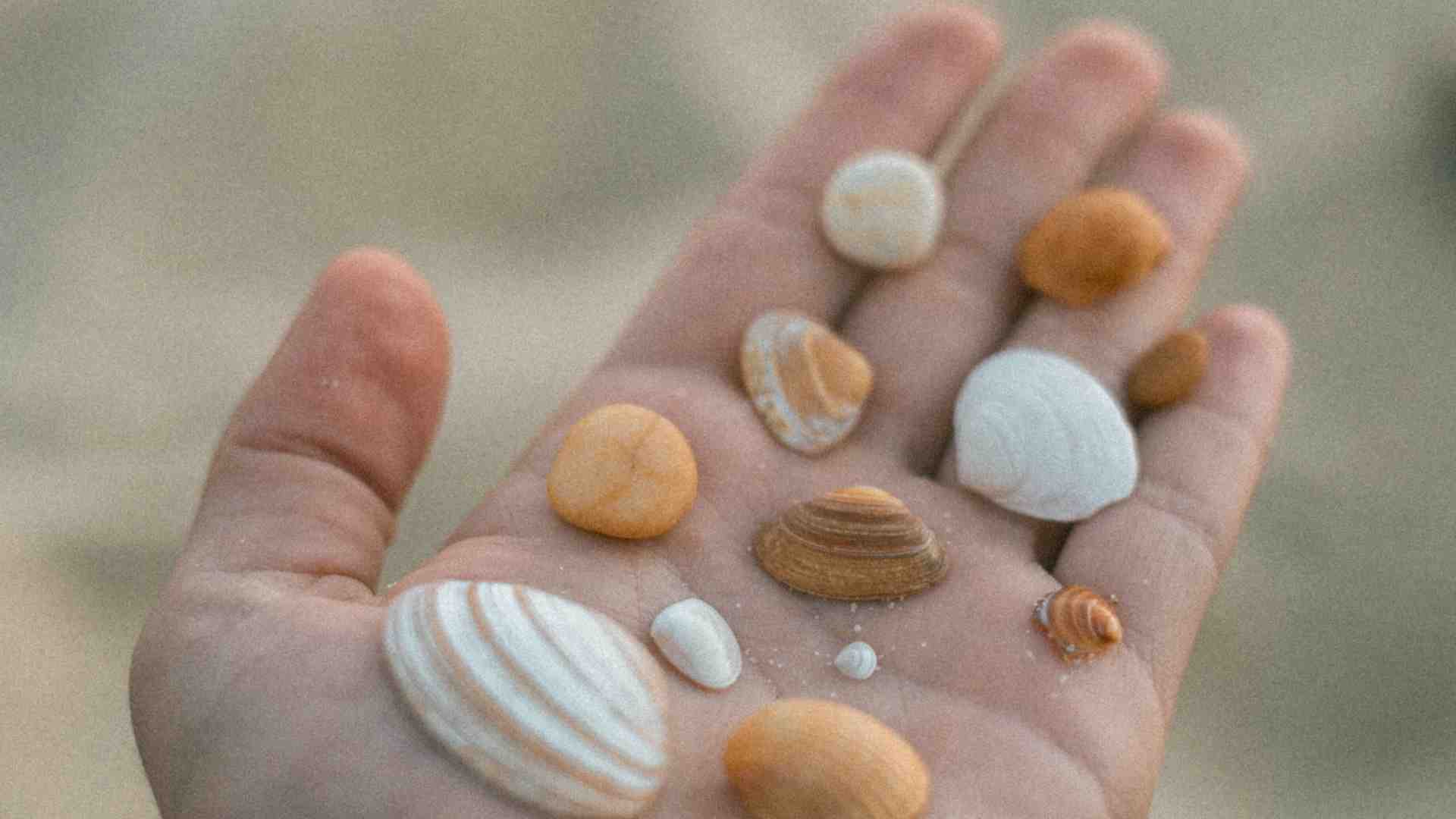 “Stintillìo” di conchiglie: la lingua (specie di un bambino) più che descrivere, illumina