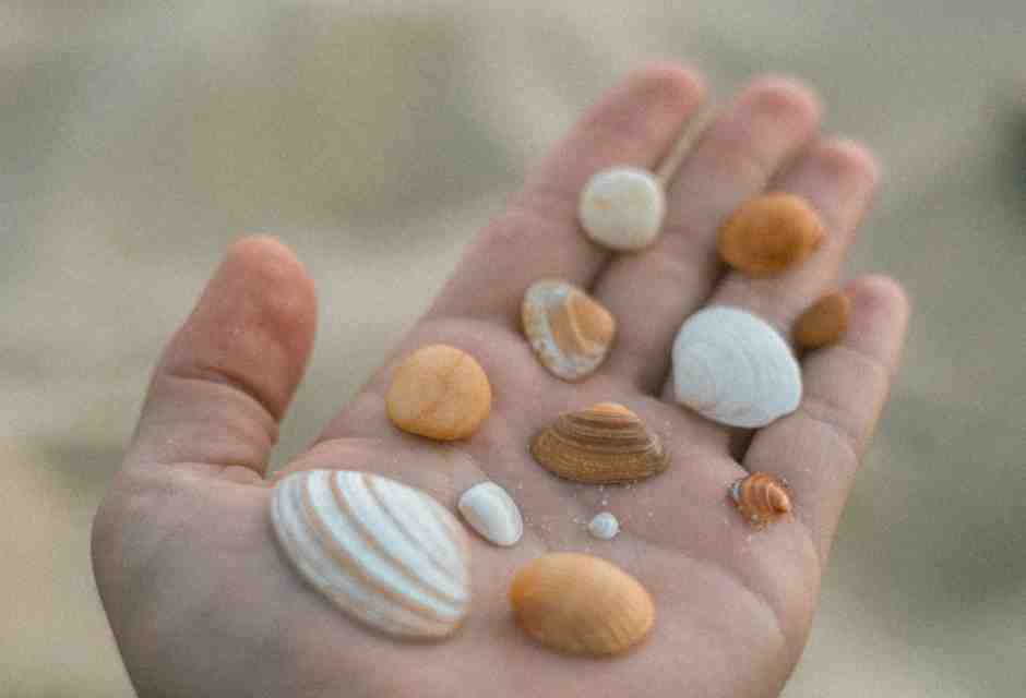 “Stintillìo” di conchiglie: la lingua (specie di un bambino) più che descrivere, illumina