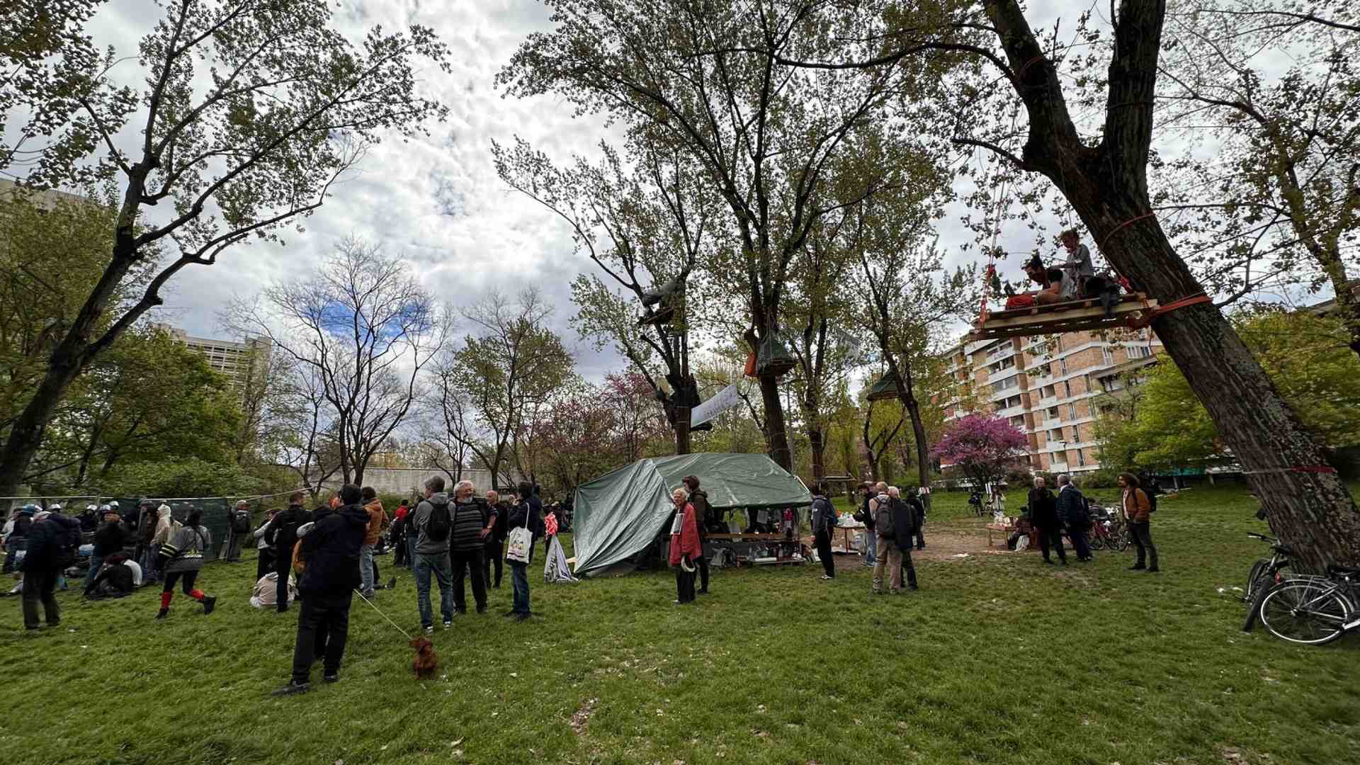 A Bologna l'albero ha sempre ragione. La battaglia di Mu.Basta contro un Museo dei bambini