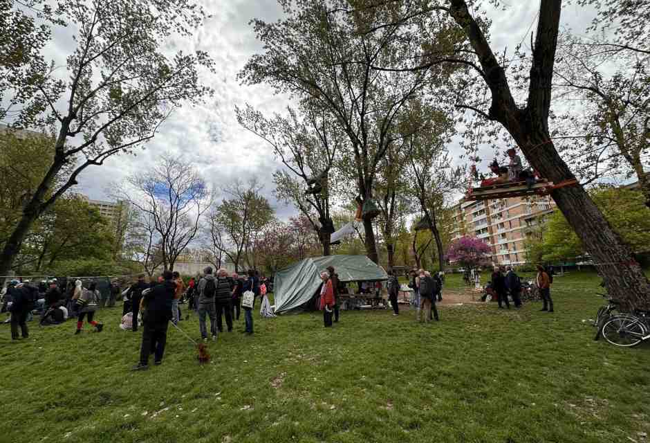 A Bologna l'albero ha sempre ragione. La battaglia di Mu.Basta contro un Museo dei bambini
