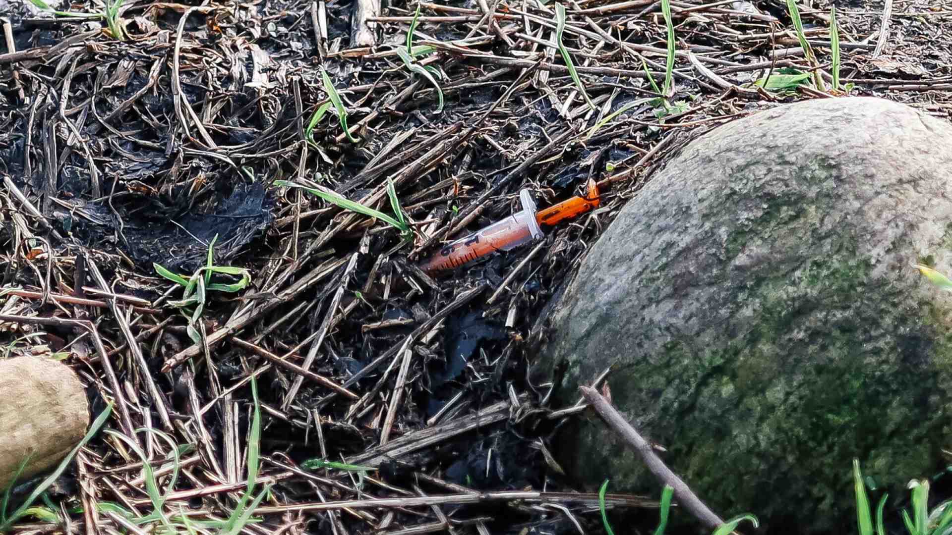Le lacrimevoli balle di politica e giornali sul bosco di Rogoredo