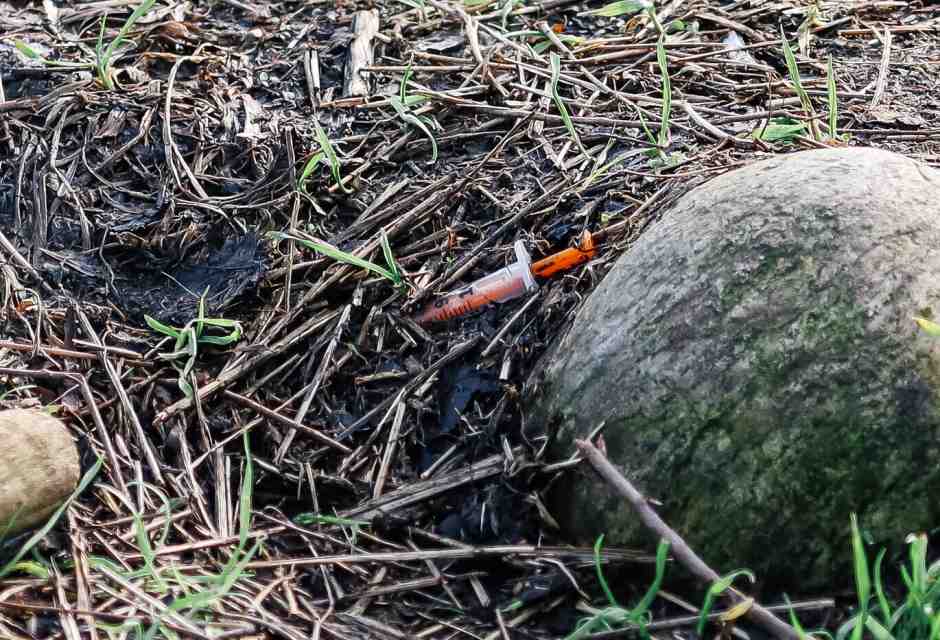 Le lacrimevoli balle di politica e giornali sul bosco di Rogoredo