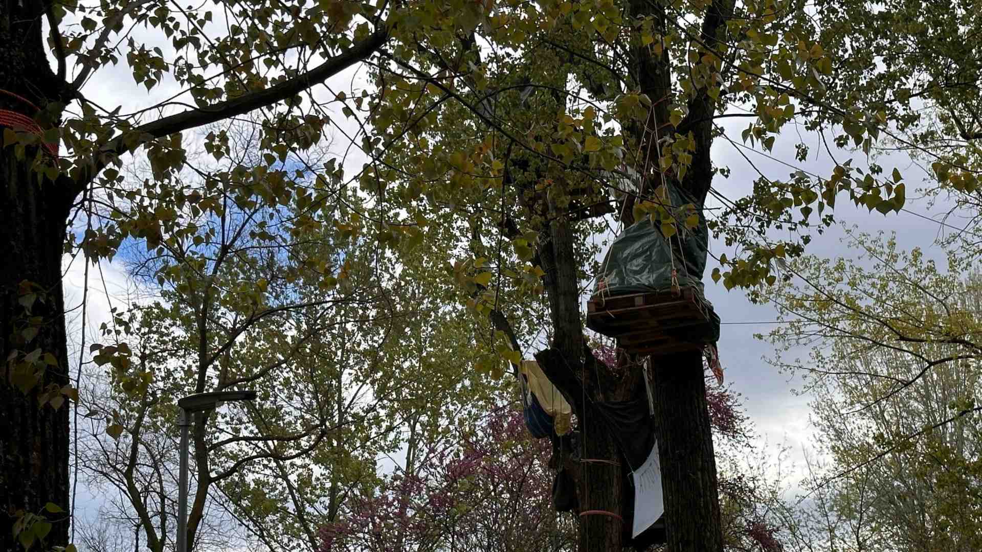 Madrid: "Sul Museo dei bambini andiamo avanti. Le proteste del Mu.Basta sono un accanimento"