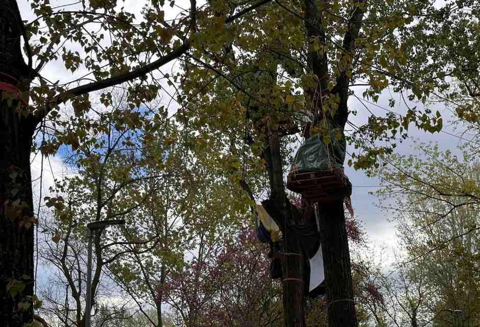 Madrid: "Sul Museo dei bambini andiamo avanti. Le proteste del Mu.Basta sono un accanimento"