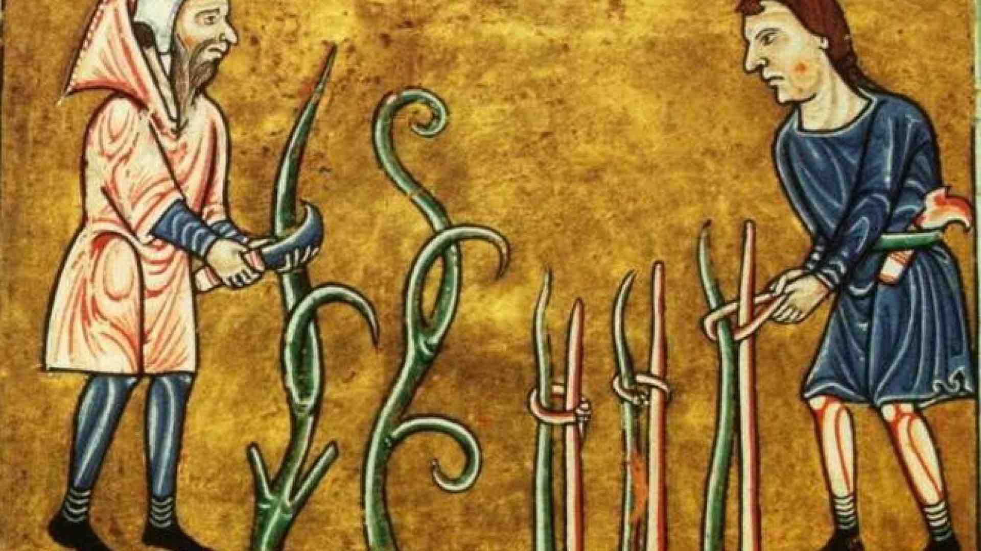 A roncolate col nonno