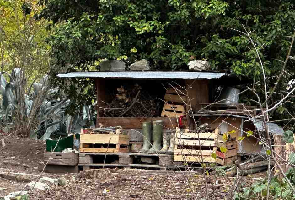 Stato etico a Palmoli? No, grazie. Questo scandalo deve finire