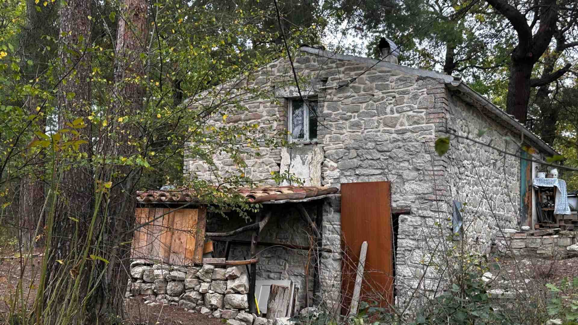 La maggioranza prepara un ddl ad hoc per la famiglia nel bosco, con un occhio alla propaganda