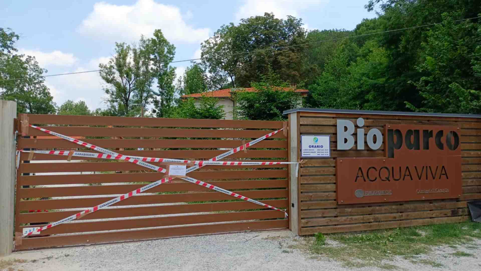 La piccola Anisa che non sapeva nuotare e un’accusa di omicidio che può arrivare fino all’Onu