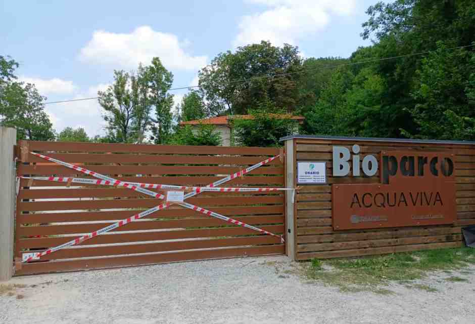 La piccola Anisa che non sapeva nuotare e un’accusa di omicidio che può arrivare fino all’Onu