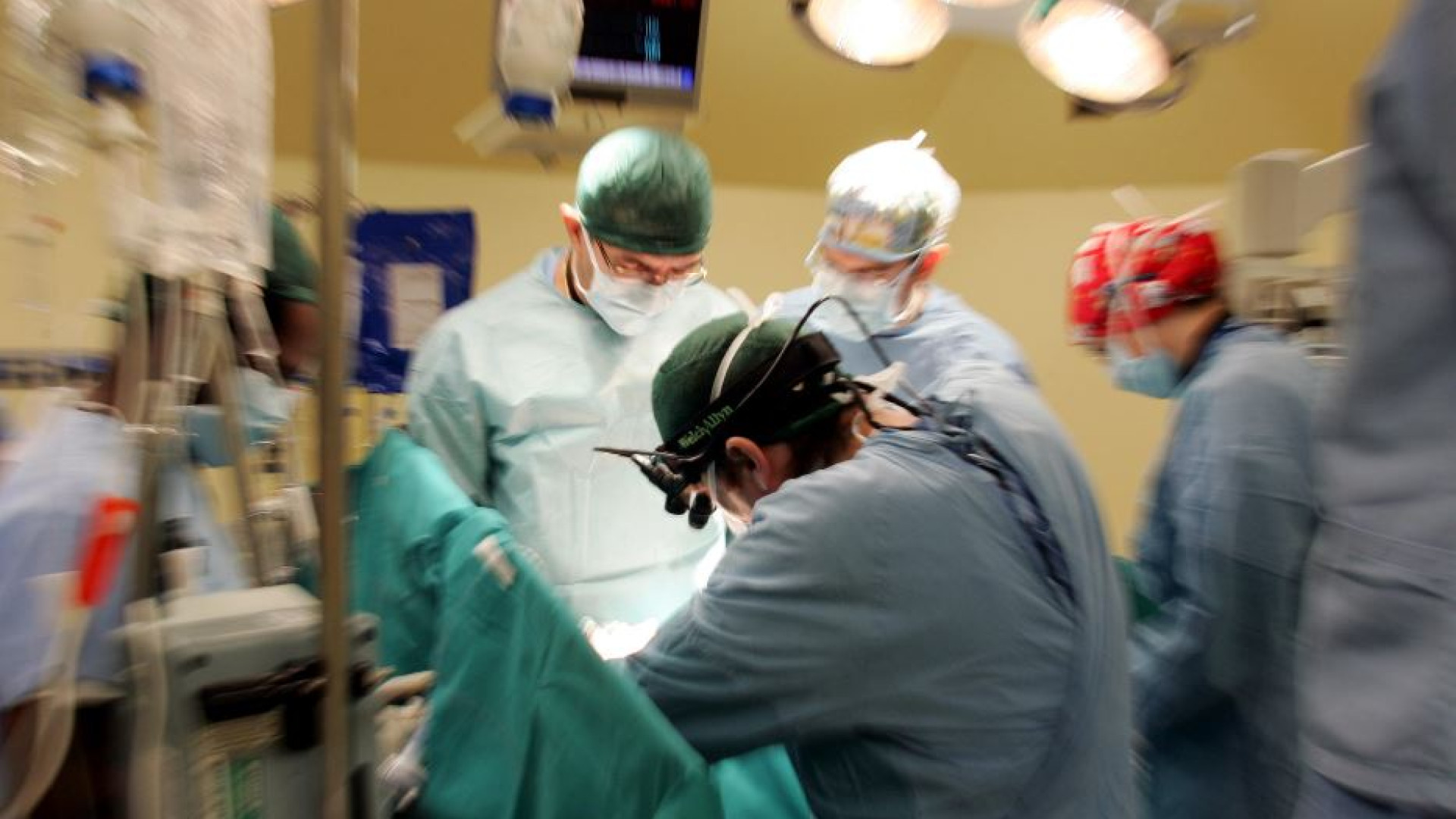 Nel 2024 record di organi donati. «Ma tra i giovani troppi dinieghi»