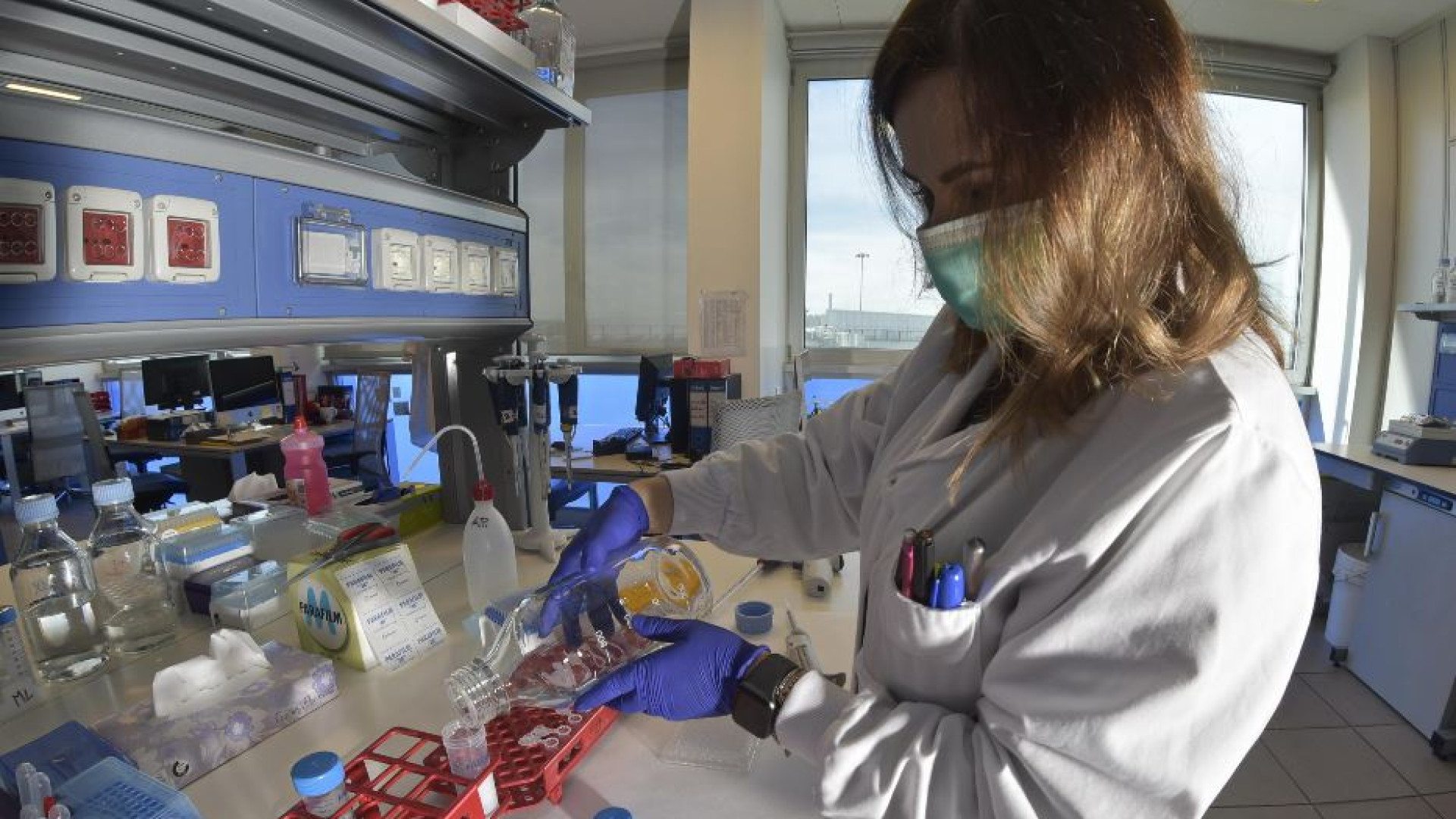 Neuroscienziati italiani scoprono un nuovo gene che scatena l'Alzheimer