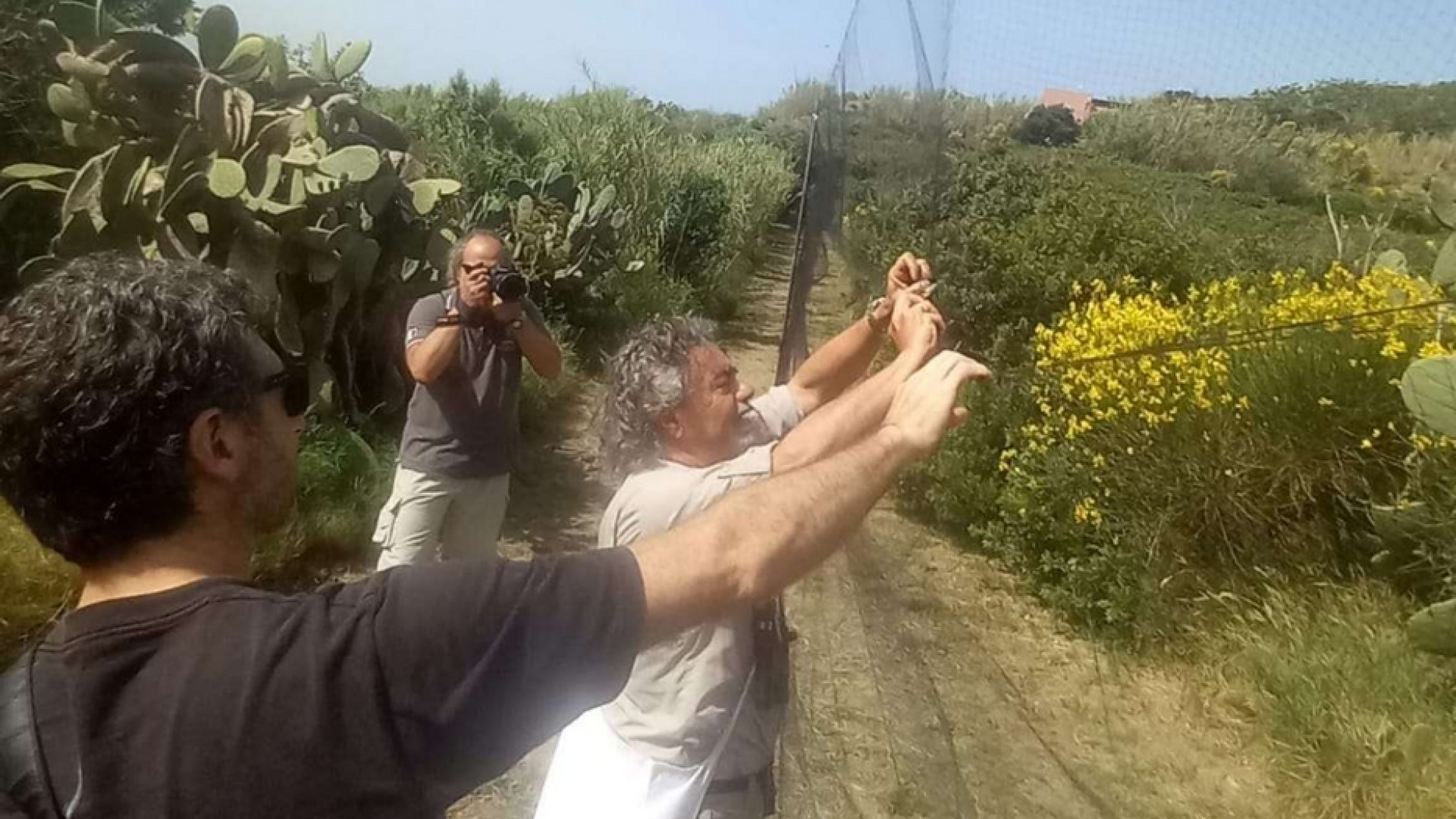 In 100 anni di migrazioni degli uccelli il "termometro" della Terra